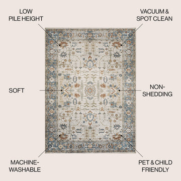 Hiero Persian Border Low-Pile Machine-Washable Area Rug